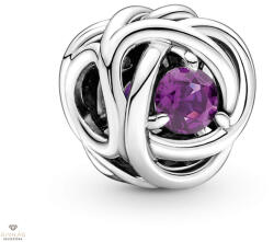Pandora Örökkévalóság köre charm - 790065C02