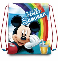 Kids Licensing Disney Mickey Summer (EWA20260WD)