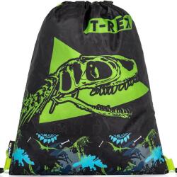 KARTON P+P T-Rex (3-05822)