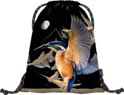 BAAGL Earth kingfisher by caer8th