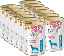 4Vets NATURAL 4Vets Kutya bőr táplálék-kiegészítő 12x400 g