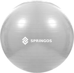 Springos Fit labda 75cm FB0008 (FB0008)