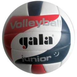 Gala Minge de volei JUNIOR GALA 5093S