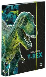 KARTON P+P Dinoszaurusz Premium A4 (3-75824)