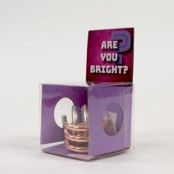 Recent Toys Mennyire vagy eszes? logikai játék (RT5125-2) - reflexshop