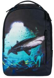 Baagl Earth Shark A-31206