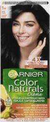 Garnier Color Naturals 1+ Ultra Black