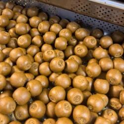 Imperial Baits Carptrack LPP bojli 1kg 20mm (AR-4672)