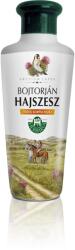 Herbária Bojtorján hajszesz