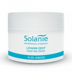 Solanie Aloe Gingko Lipamin mélytisztító krém, 250 ml - hairpower