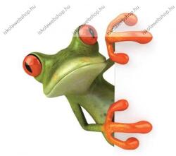  Állatos Béka 2. osztályos vonalas füzet, A5/16-32 (PI_2017_311-2721_1db)