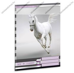 Ars Una Állatos Lovas 2. osztályos vonalas füzet, A5 (93586108_2o)