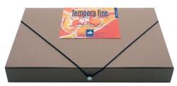 Maimeri Set pictura culori tempera Fine Maimeri