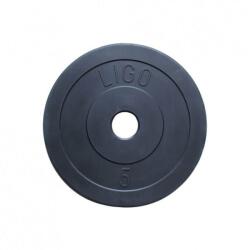 LIGO Disc de aruncare 5 kg