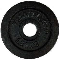 TUNTURI Disc fonta 1, 25 kg TUNTURI pereche