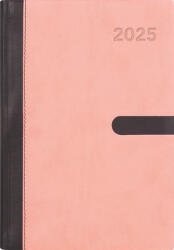 Dayliner Naptár, tervező, A5, heti, DAYLINER, Winner, pink (NWA5HPI25)