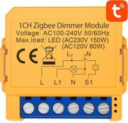 Smart socket switch ZigBee Avatto ZDMS16-2 TUYA (ZDMS16-2)