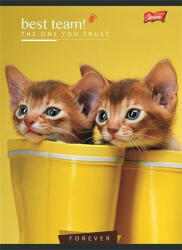  Állatos Cica 2. osztályos vonalas füzet (A5/16-32) (COR_UNBT532V2_3)