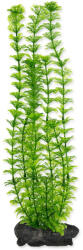 TETRA Decorat Tetra Plant Ambulia L 30cm