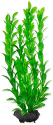 TETRA Decorat Tetra Plant Hygrophila M 23cm