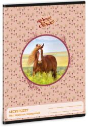 Ars Una My Sweet Horse A5 32 lapos leckefüzet (50843589)