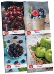 Herlitz Fruit A5 27-32 lapos kockás füzet (09092594)