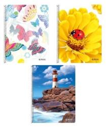 Herlitz Caiet spiralat cu model Herlitz A5 160 pagini cu pagini în carouri 10408458 (10408458)