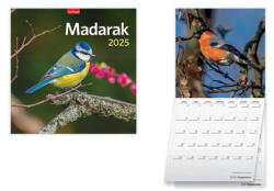 TopTimer Naptár, fali, TOPTIMER "Madarak (NKT0941825)