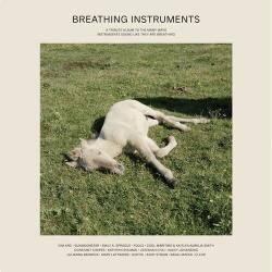 Various Breathing Instruments
