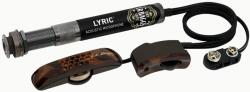 L. R. Baggs Lyric
