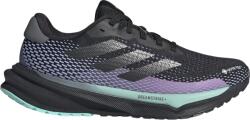 adidas Pantofi de alergare adidas SUPERNOVA W GTX id6305 Marime 42 EU (id6305) - 11teamsports