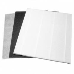 VHBW Set de filtre HEPA pentru DeLonghi DAP 700 / DAP 700 E (BW888102360)