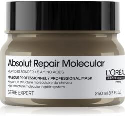 L'Oréal Serie Expert Absolut Repair Molecular mască profund fortifiantă pentru păr 250 ml