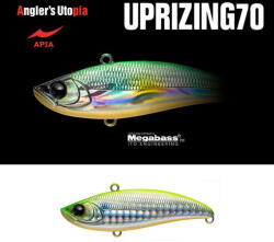 Apia UPRIZING 70 14gr 70mm 07 LGH Chart Back