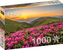 Enjoy - Pink Hajnal 1000 darabos kirakó (2063)