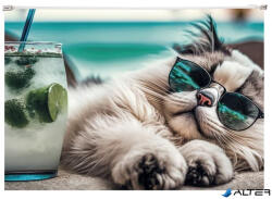 Panta Plast Irattartó tasak, A4, PP, cipzáras, 180 mikron, PANTA PLAST "Chillout cat (0410-0063-54)
