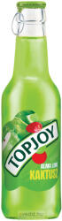 Topjoy Kaktusz-Lime-Alma 0, 25L Szénsavmentes Üdítőital (DRS)*