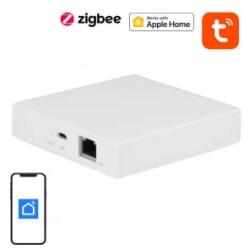 NEO Smart gateway ZigBee Matter (NAS-ZW06WM)