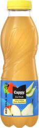 Cappy Ice Fruit szénsavmentes alma-körte ital bodzavirág ízesítéssel 500 ml - ecofamily