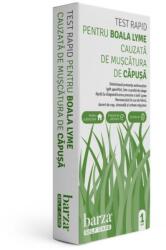 Biotech Atlantic Inc Test rapid Lyme, 1 bucata, Veda Lab