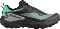 Salomon GENESIS GTX Terepfutó cipők l47688300 Méret 47, 3 EU Férfi futócipő