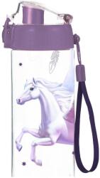 KARTON P+P Oxy Click Pegazus 500 ml (9-08024)