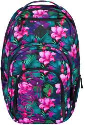 Baagl Coolmate Paradise A-33895