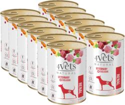 4Vets NATURAL 4Vets for dogs Renal 12x400g