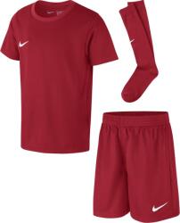 Nike Trening Nike LK NK DRY PARK20 KIT SET Little Kids cd2244-657 Marime S (cd2244-657)