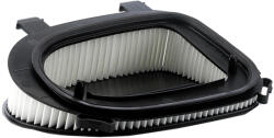 MANN Filtru aer Mann pentru BMW X3, X5, X6 (C36014)