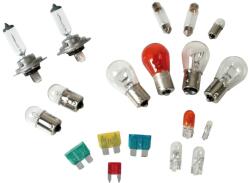 LAMPA Kit becuri si sigurante 19buc 12V - halogen 2xH7