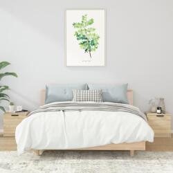 vidaXL 2 db sonoma tölgy színű éjjeliszekrény 40 x 39 x 40 cm (811203)