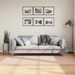 vidaXL HUARTE púderszínű rövid szálú puha és mosható szőnyeg 140x200cm (375153)