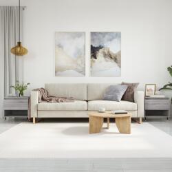 vidaXL 2 db szürke sonoma szerelt fa dohányzóasztal 50 x 46 x 50 cm (830905) - vidaxl